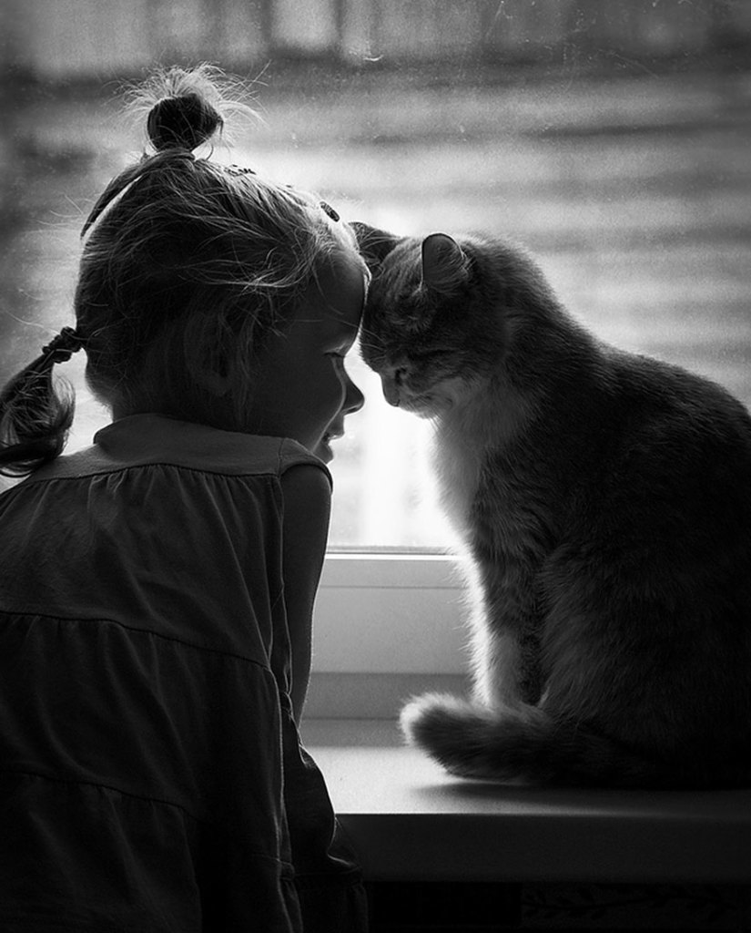 kız çocuk ve kedi