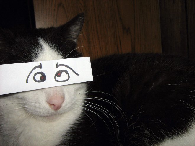 kedi gözleri çizim