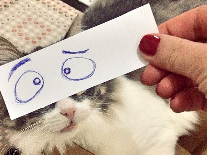 kedi gözleri çizim8