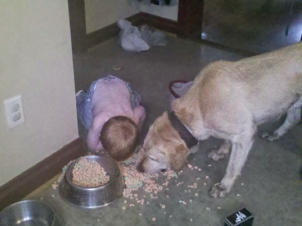 Köpek maması yiyen çocuk