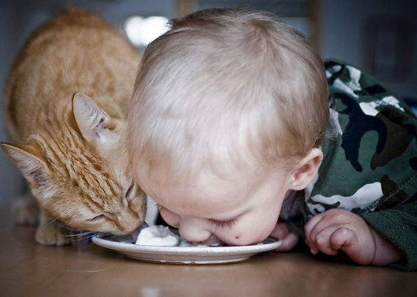 kedi ile yiyen bebek