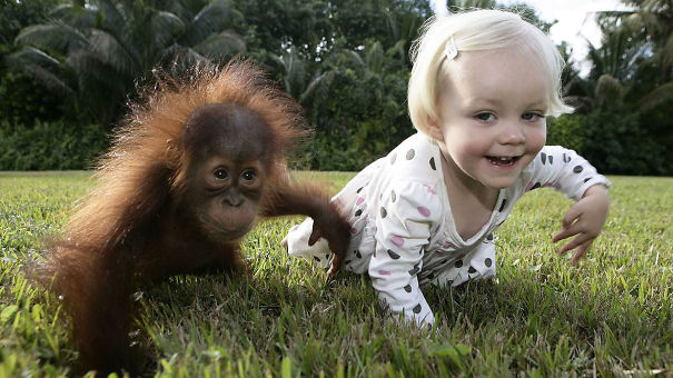 kendini orangutan sanan çocuk