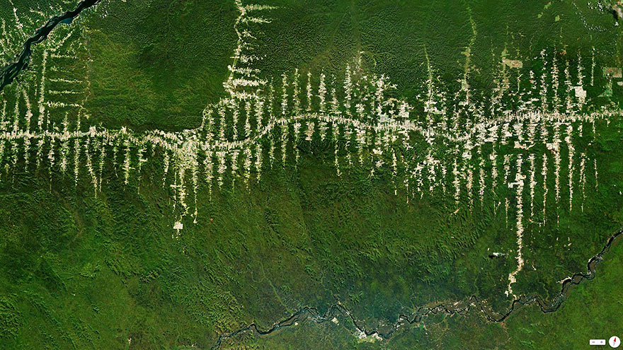 Amazon-Yağmur Ormanları-Para-Brezilya