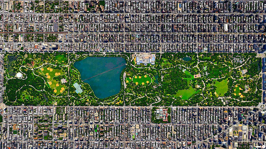 Central-Park-New-York-City-New-York-ABD