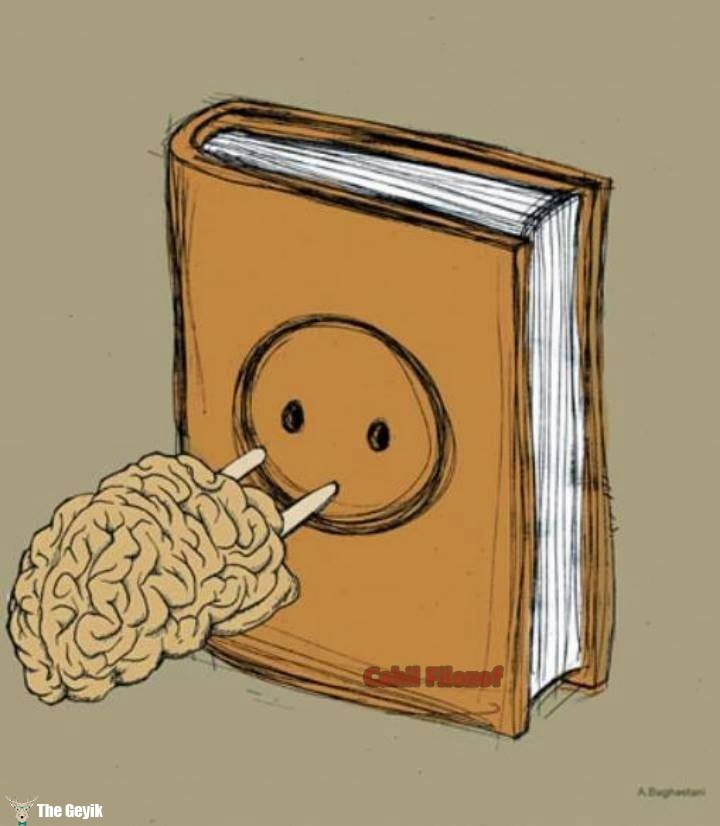 kitap beyin
