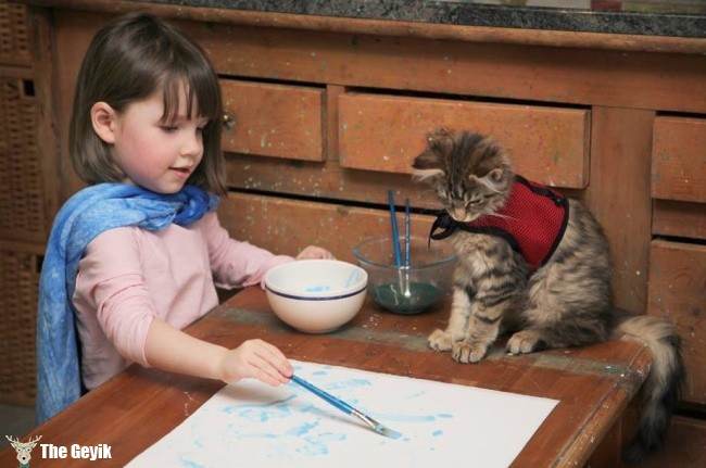 boya yapan kedi