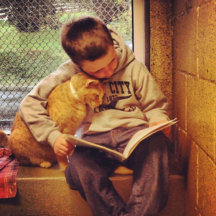 kedisine kitap okuyan çocuk