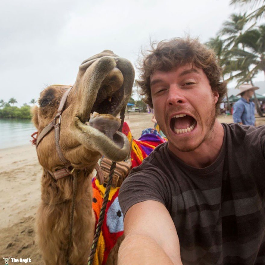 hayvanlarla selfie