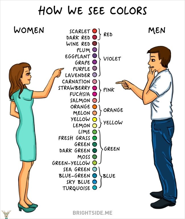 erkekler ve kadınlar arasındaki farklar 11