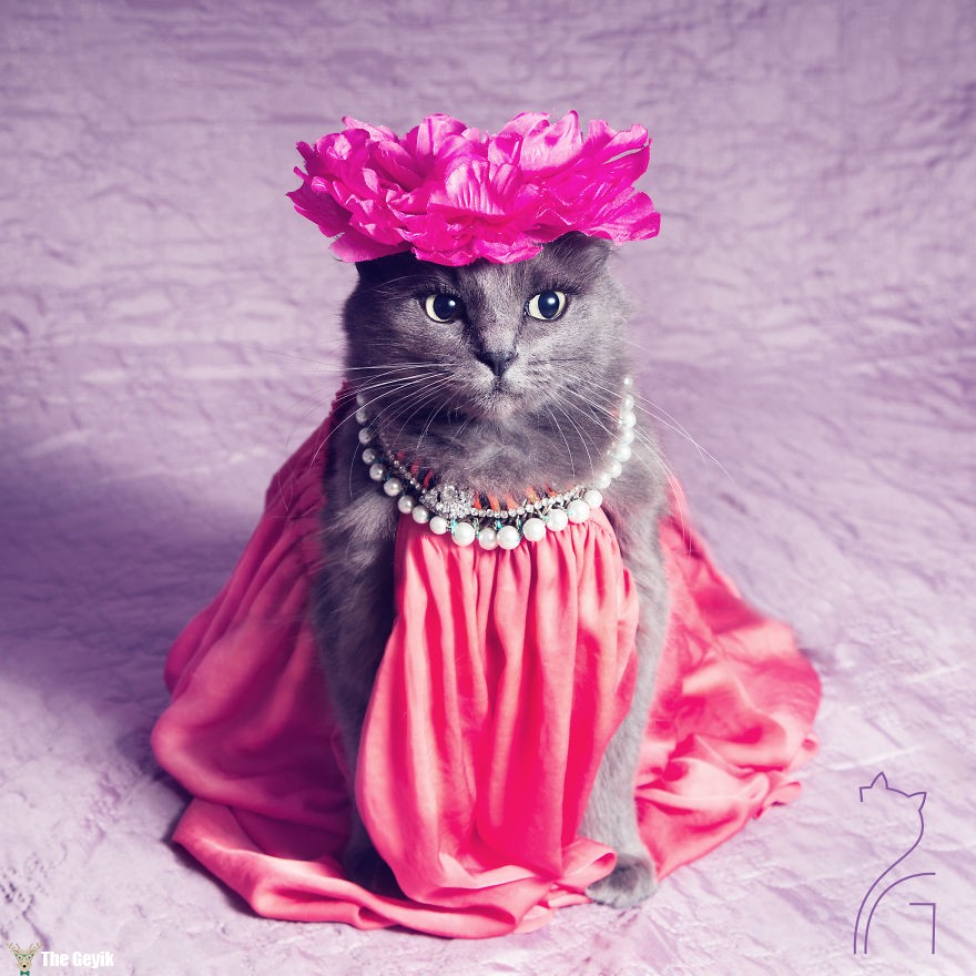 pitzush-glamour-pussycat-10