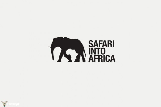 Safari into Africa