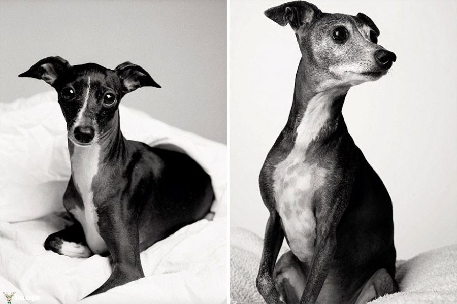 Audrey — 3 years and 12 years
