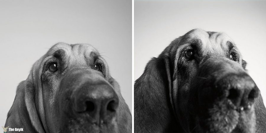 Cooper — 3 years and 10 years