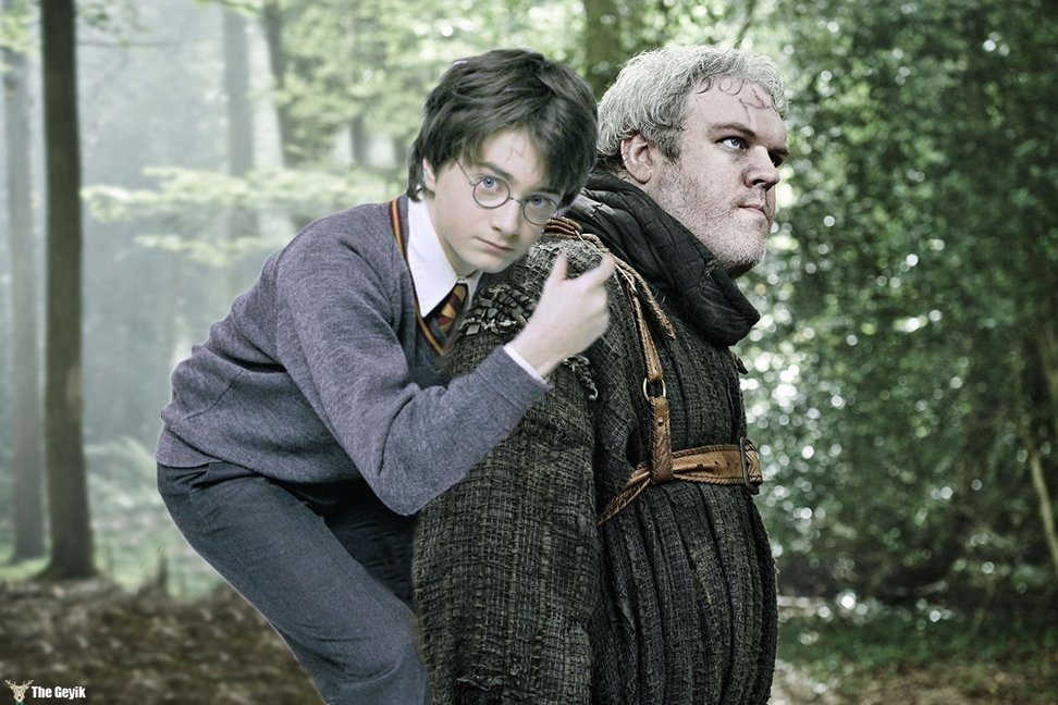 Harry Potter trolleme photoshop9