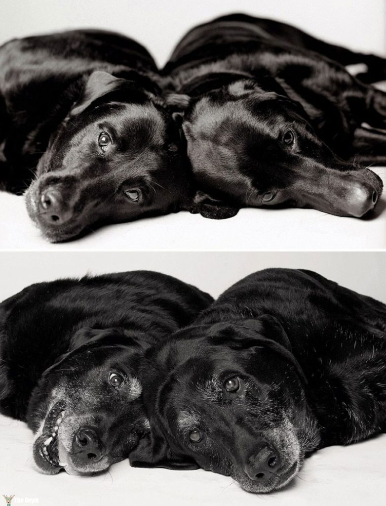 Maddie and Ellie — 7 and 6 years; 14 and 13 years