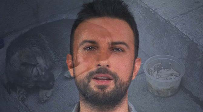 tarkan-mutlu-yuva